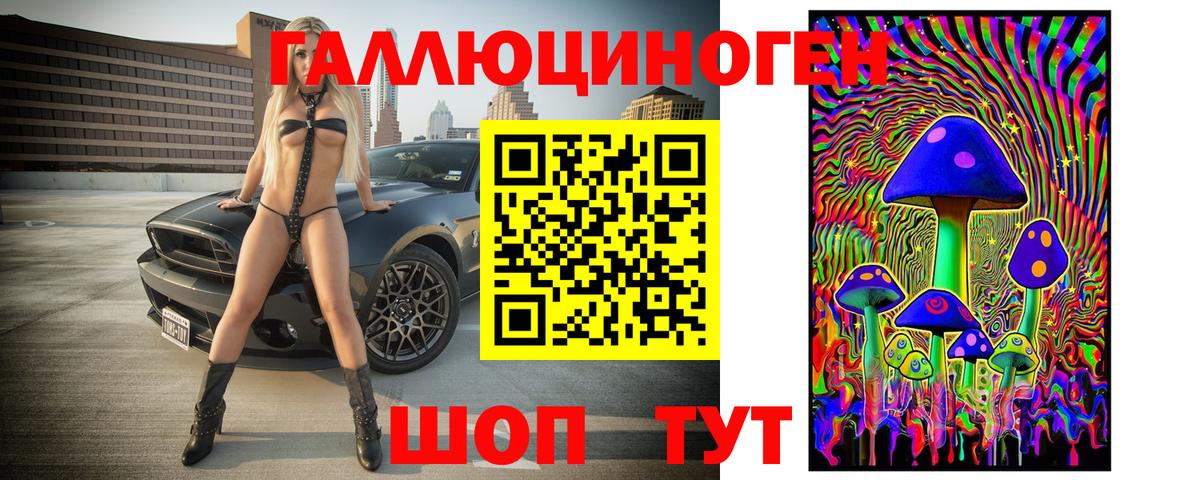 купить закладку  Псилоцибиновые грибы мухоморы  Вход с VPN  Унеча 